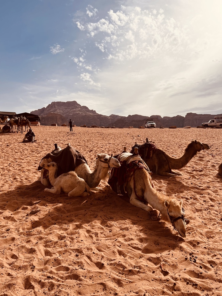 Wadi Rum - a földöntúli sivatag csodája